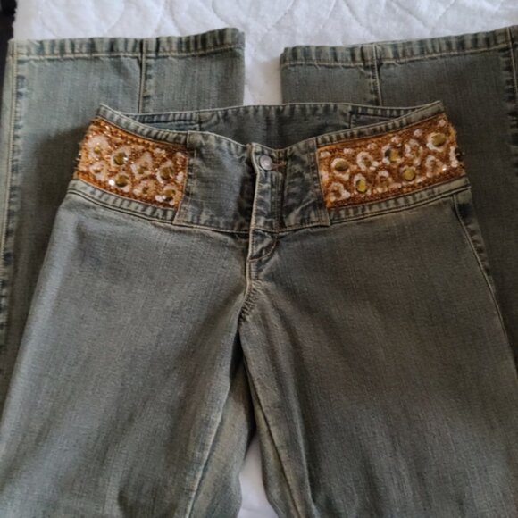 Express Jeans With Sequin in Amber Color - Picture 7 of 8